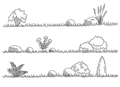 Grass Set Graphic Black White Isolated Sketch Illustration Vector Stock ...