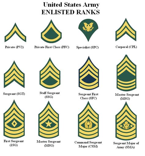 US Army Ranks - Military Center