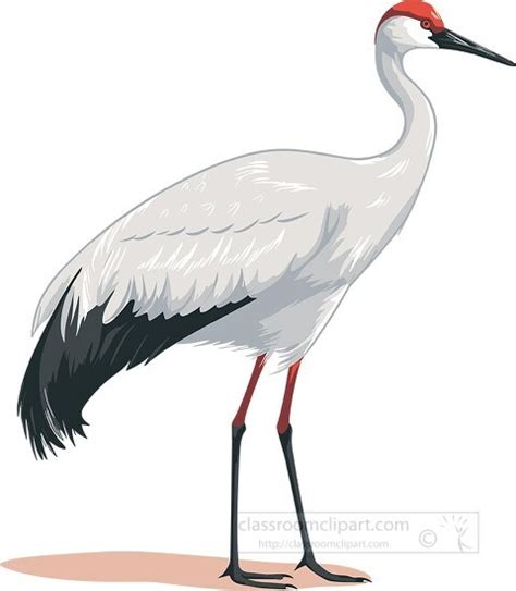 Bird Clipart-crane bird with long legs