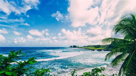 Hawaii Desktop Backgrounds (63+ images)