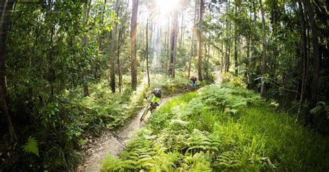 Visit Noosa | The best hiking & biking trails in Noosa