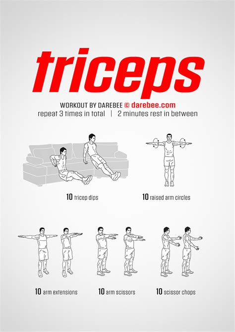 Triceps Workout