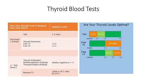 Thyroid Tests and What They Mean: Thyroid Test Results Chart