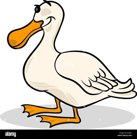 duck farm bird animal cartoon illustration Stock Vector Image & Art - Alamy