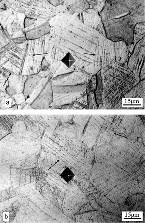 AISI 316L austenitic steel. Pictures from Figure 3 b and 3 f at an ...