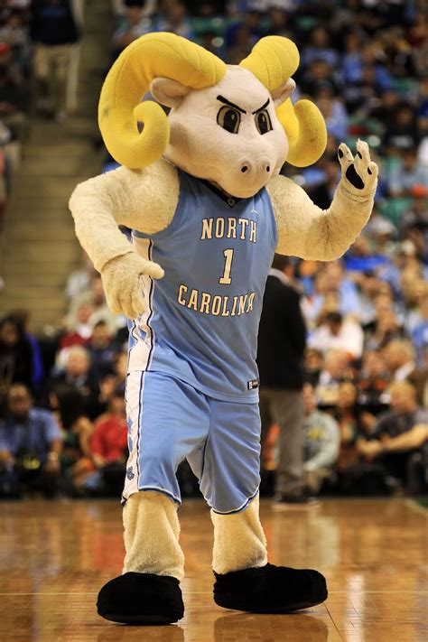 ACC Background Checks: The Origin of Every Team's Nickname and Mascot ...