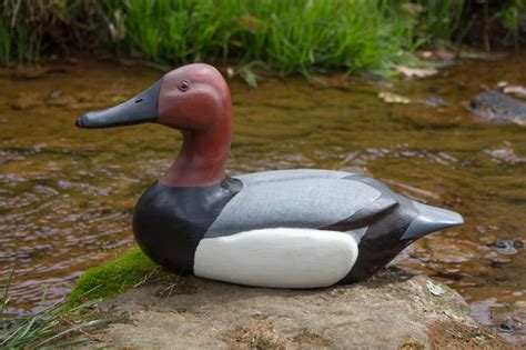 Duck Decoy Pattern - The Woodcarver's Cabin