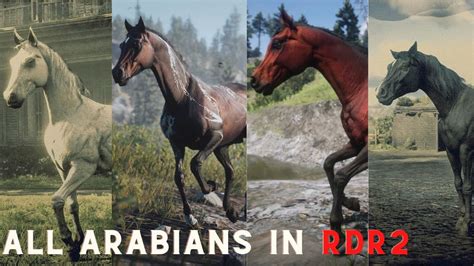 RDR2 | All Arabian horses Location in Red Dead Redemption 2 - YouTube