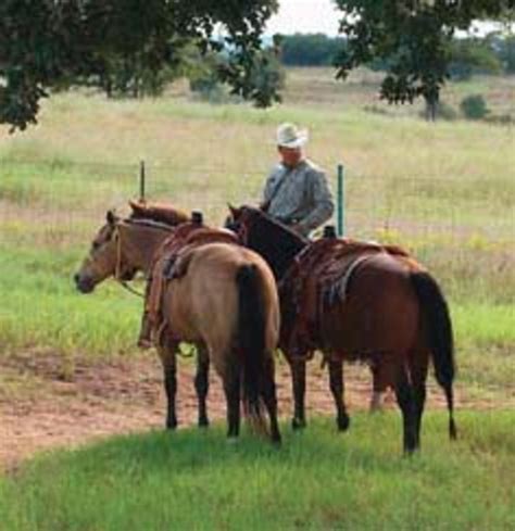 Jake Barnes & Clay O'Brien Cooper: It's Team Roping