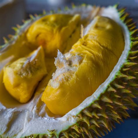 Durian Fruit - Southeast Asia's King of the Fruits