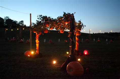 Pumpkin Patch Decorations Night - Hopewell Valley Arts Council ...