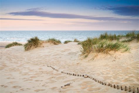 Grassy sand dunes landscape at sunrise - Landscape of grass in sand ...