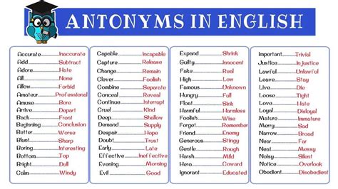 120+ Most Common Antonyms in English from A-Z | Opposite Words List ...