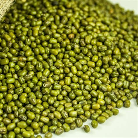 Green Gram - Spice Munnar - Online Spice seller from Munnar