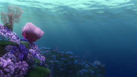 Finding Nemo Background