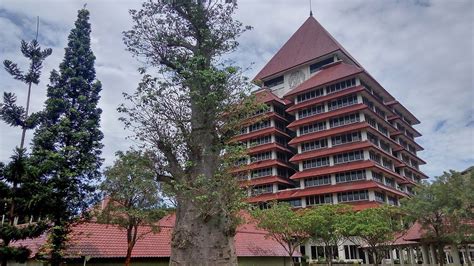 Universitas Indonesia - Wikiwand | Universitas indonesia, Beautiful ...