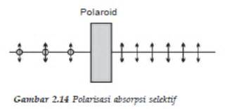 Polarisasi Cahaya ~ ⠀ ~Julius Indra Kusuma~