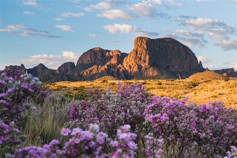 A beginner’s guide to visiting Big Bend National Park: Everything you ...