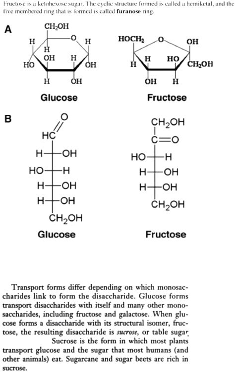 formula for sucrose formula for fructose and the definition or ...