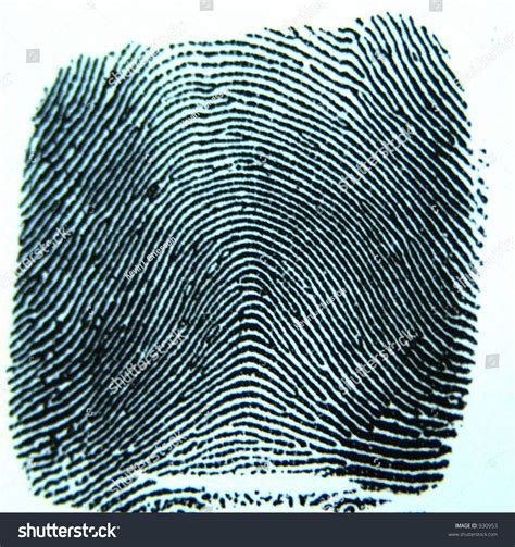 The Arch Is One Of The Three Basic Fingerprint Patterns. Stock Photo ...