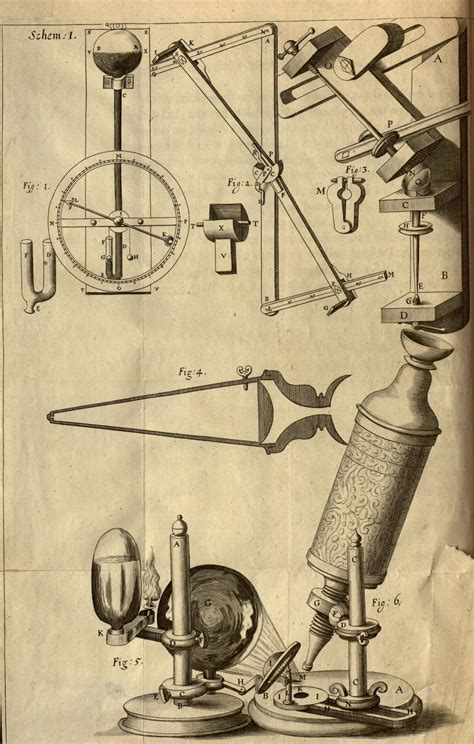 Fossils Under the Microscope: Hooke and Micrographia – Biodiversity ...