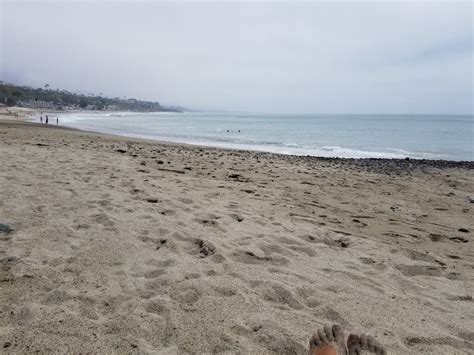 Doheny State Beach | Ocean life, Beach, Around the worlds