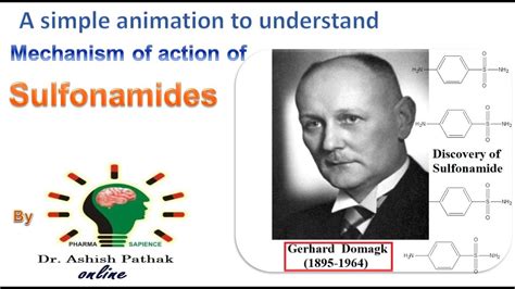 Mechanism of action of Sulfonamides - YouTube