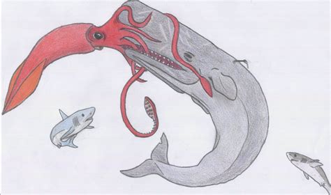 Colossal Squid Vs Sperm Whale