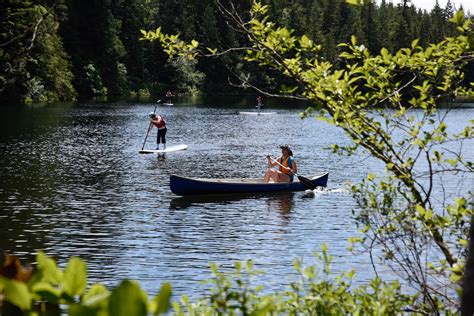 Camp Gallery – Evans Lake Forest Education Society