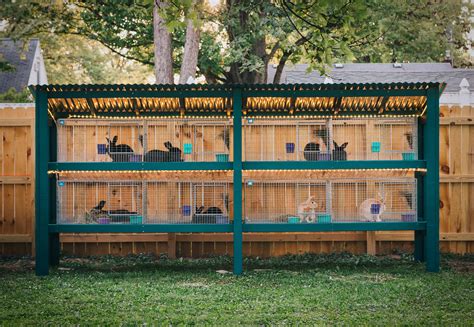 Building My Rabbit Hutch with KW Cages — Teal Stone Homestead