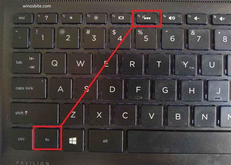 How Do I Turn Off The Backlight On My Hp Keyboard | Americanwarmoms.org