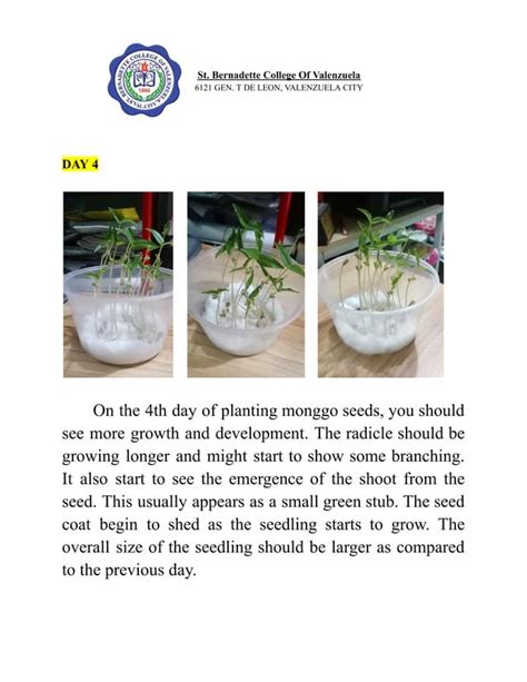 Monggo Seeds Experiment Day 1 to Day 7.pdf