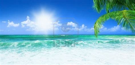 🔥 [50+] Panoramic Beach Wallpapers | WallpaperSafari