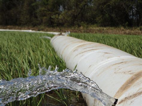 Poly-irrigation and poly tubes used for irrigation - Agriplastics Community