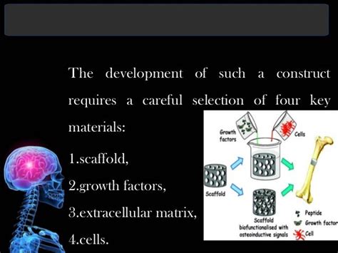 Biomaterials for tissue engineering slideshare