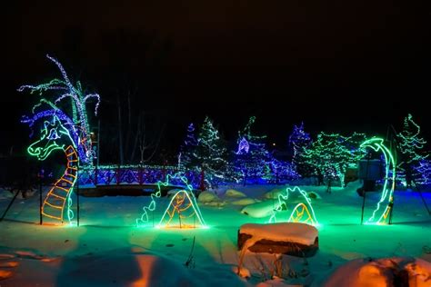 Zoolights in Calgary: 18 Best Displays and Tips for 2022/20223