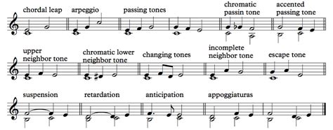 Non-Chord Tones Diagram | Quizlet