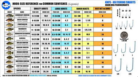 KNFS Free Hook-Size Chart for Common Sunfishes - Bluegill, longear ...