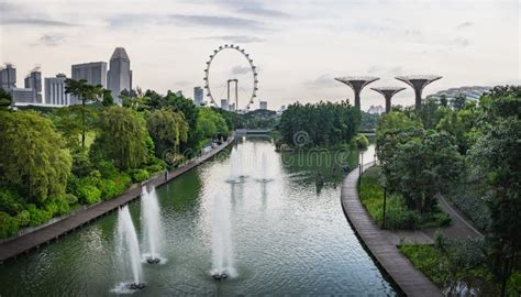 Gardens by the Bay after Rain in Singapore Editorial Stock Image ...