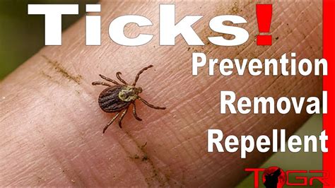 How to Prevent and Remove Ticks! - Longer Life Plan