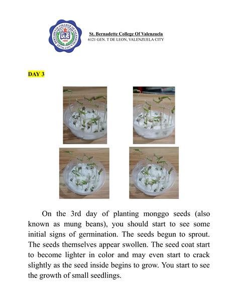 Monggo Seeds Experiment Day 1 to Day 7.pdf