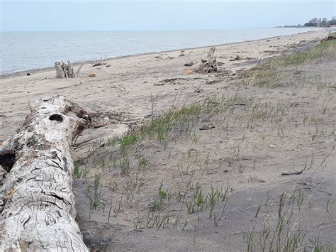 Illinois Beach State Park, an Illinois State Park located near Antioch ...