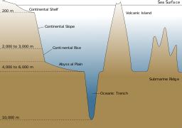 35+ Ocean Basin Diagram - NitinKhatija