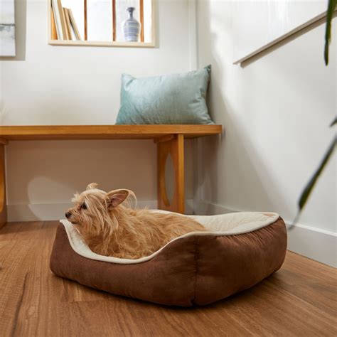 FRISCO Rectangular Bolster Cat & Dog Bed, Brown, Small - Chewy.com