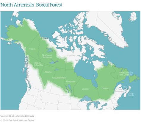 Fast Facts: Canada’s Boreal Forest | The Pew Charitable Trusts