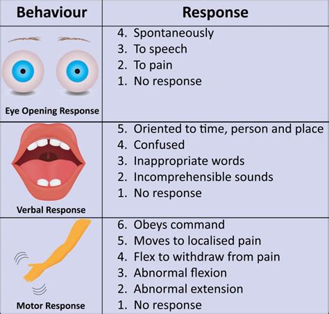 11.4: Assessing Mental Status - Medicine LibreTexts