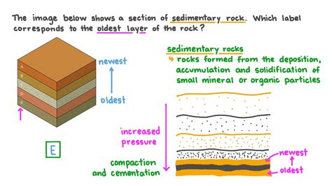 Sedimentary Rock Layers