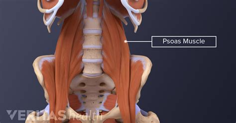 The Essential Role of the Psoas Muscle