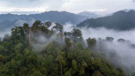 Uncontacted People of the World - WorldAtlas