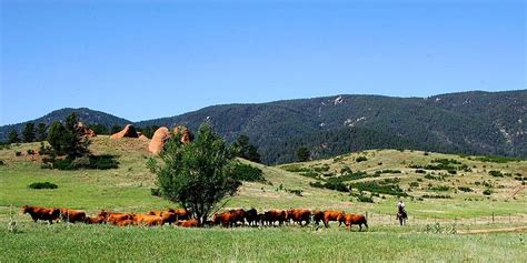 Mirr Ranch Group Sells 2,038-Acre Ranch in Colorado's Scenic Front ...